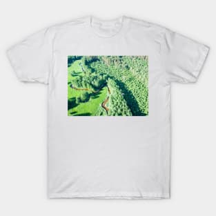 Aerial view of canoes on Marycha river on a sunny day T-Shirt